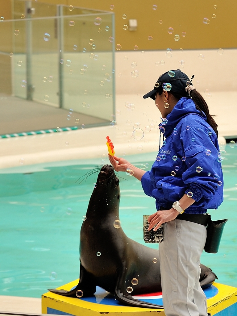 シャボン玉飛んだ