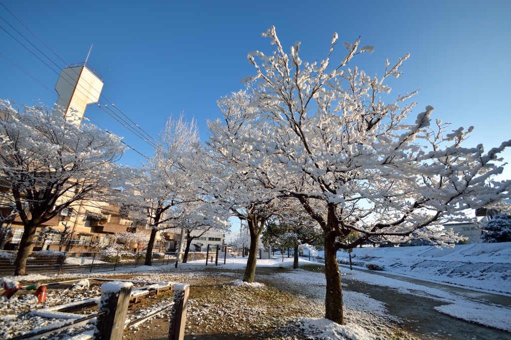 雪景色