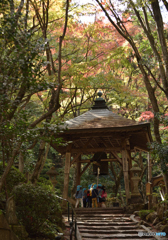 紅葉と山門