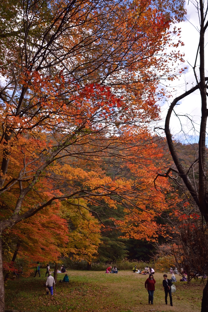 紅葉狩り②