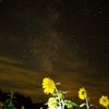 星空のステージ