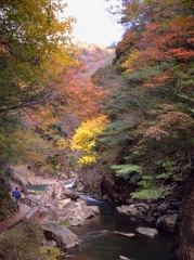 峡谷の秋