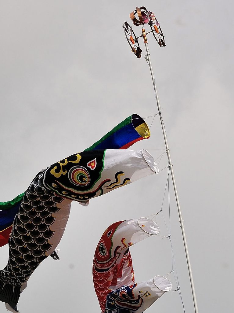 鯉の滝登り
