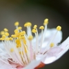 梅雫3