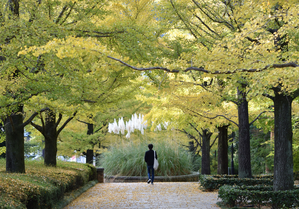 通学路②