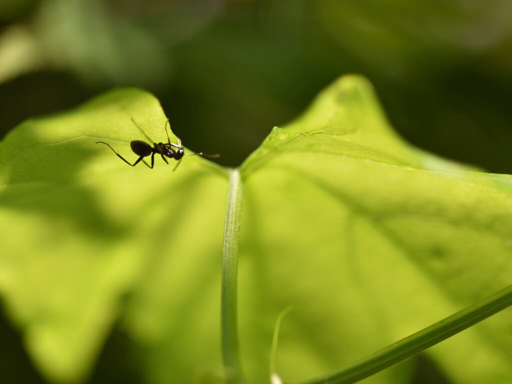 逆さま