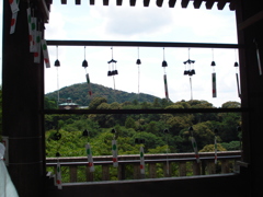 清水寺　千日参り