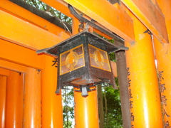 鳥居のライト