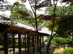 東福寺