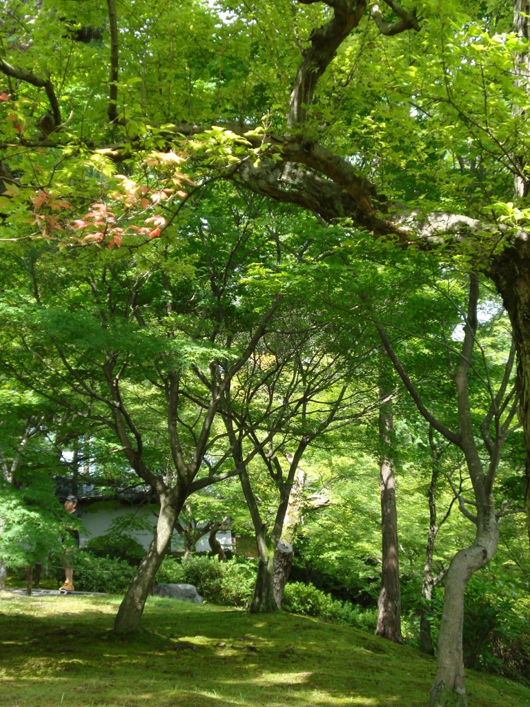 東福寺