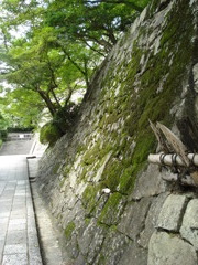 清水寺　舞台の基礎