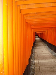 鳥居の中
