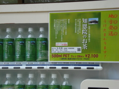 知恩院のお茶