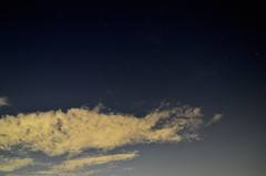 夏の星空