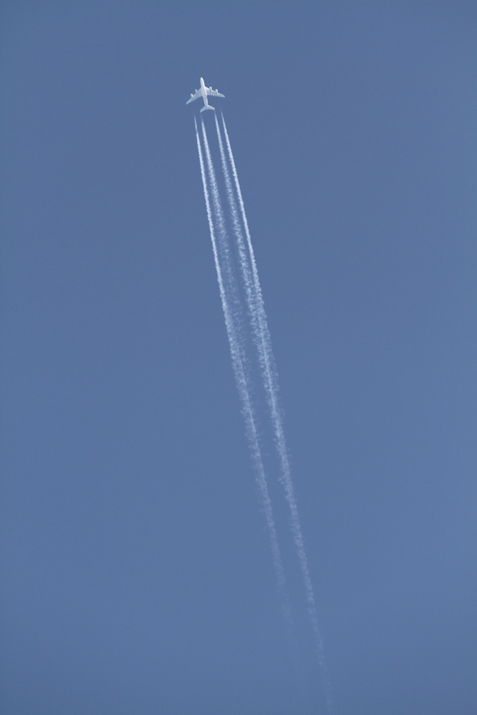 Contrail