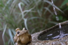 梅雨の終わり