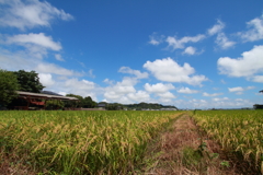 夏の終わり