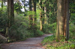 箱根旧街道