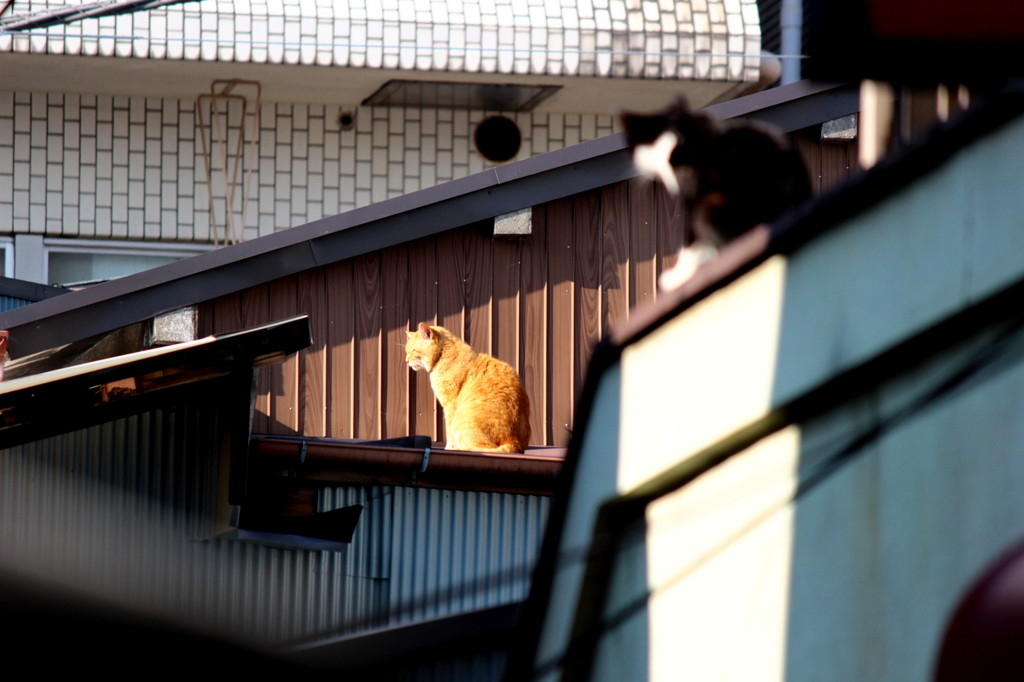 暖かいところを知っている２