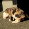 逆さま
