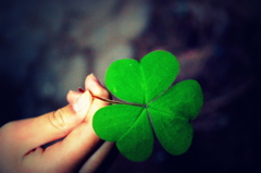 My cousin with a Clover