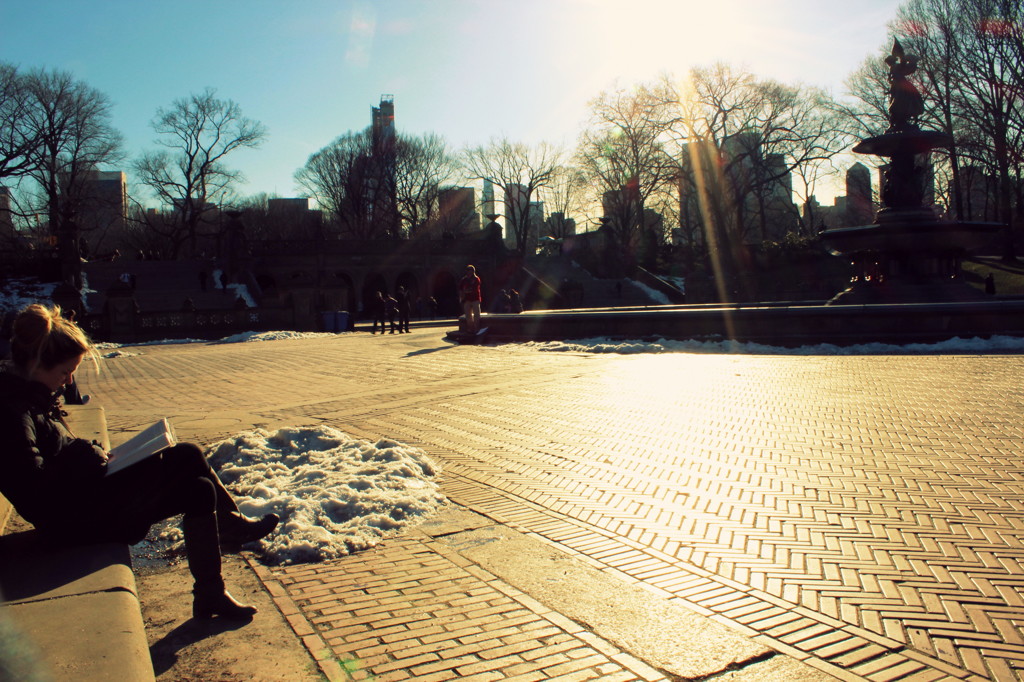 Central Park in the Afternoon