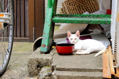 お椀