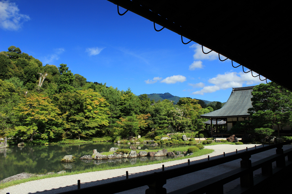 天龍寺　曹源池庭園