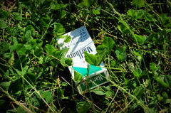 Marlboro