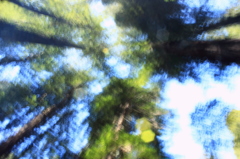 Sunbeams