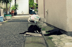 出迎え