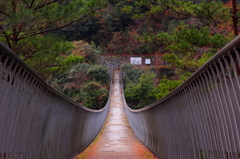 橋の向こうへ