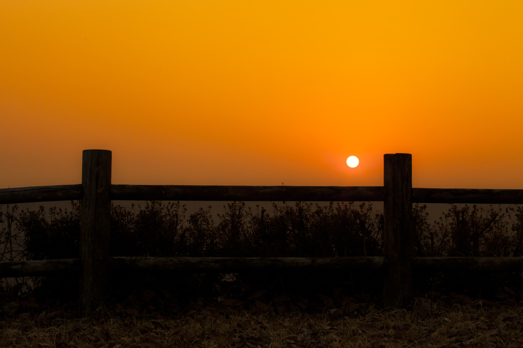 夕暮れ