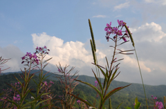 aDSC_4055