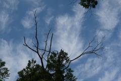 煙のような雲に手を伸ばすと