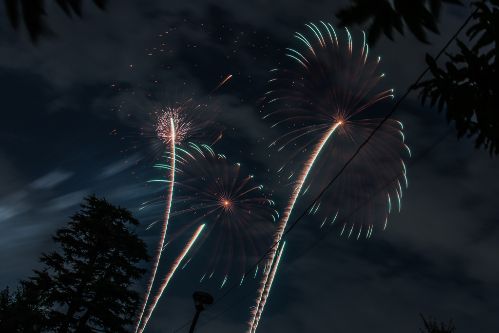 空に咲く花の下で