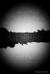 青空の下で