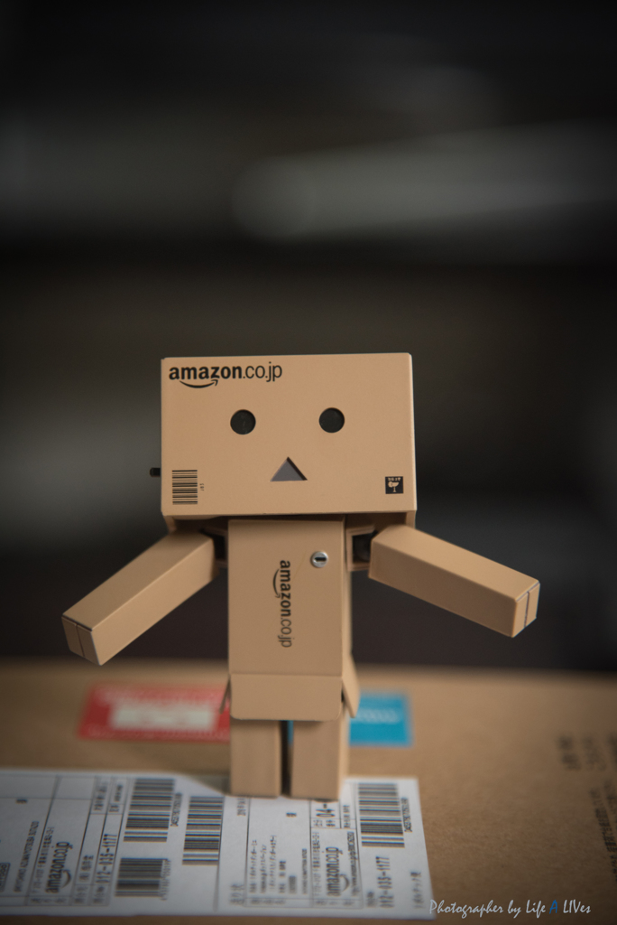 DANBOARD