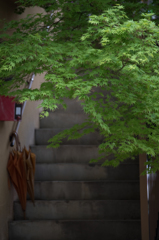 渋温泉