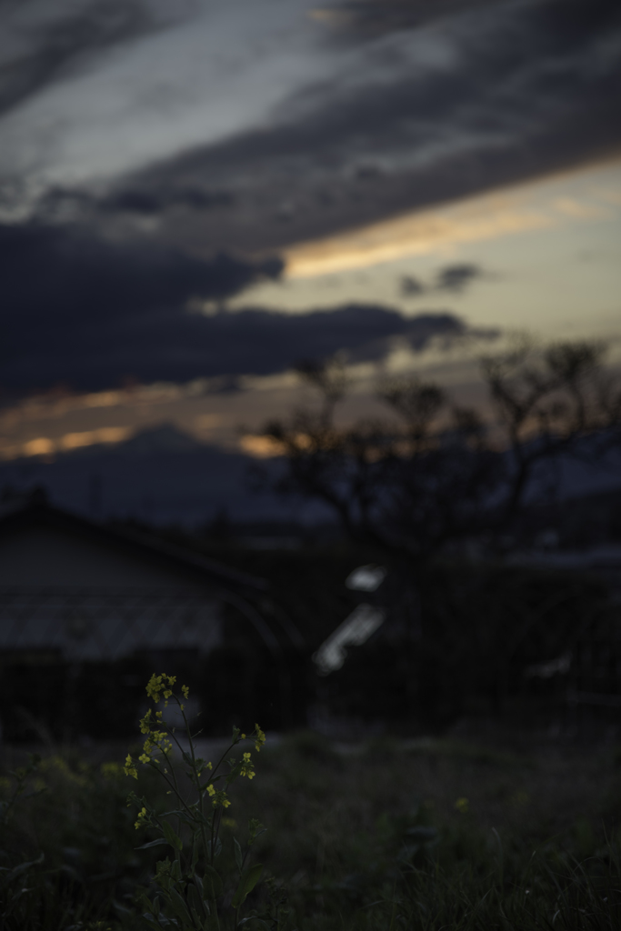 春の夕暮れ空