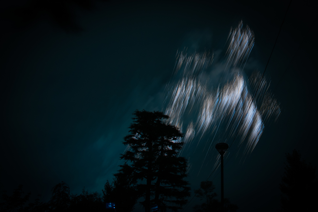 空に咲く花の下で