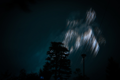 空に咲く花の下で