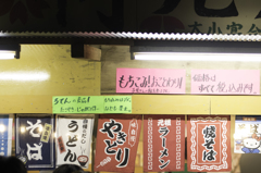 桜をもとめて