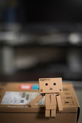 DANBOARD
