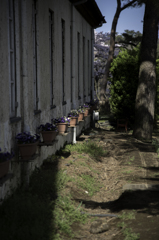 ドイツ村