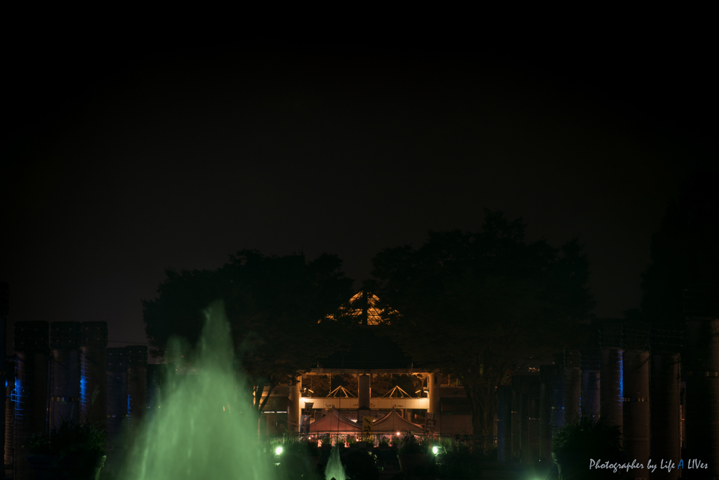 昭和と花公園と花火