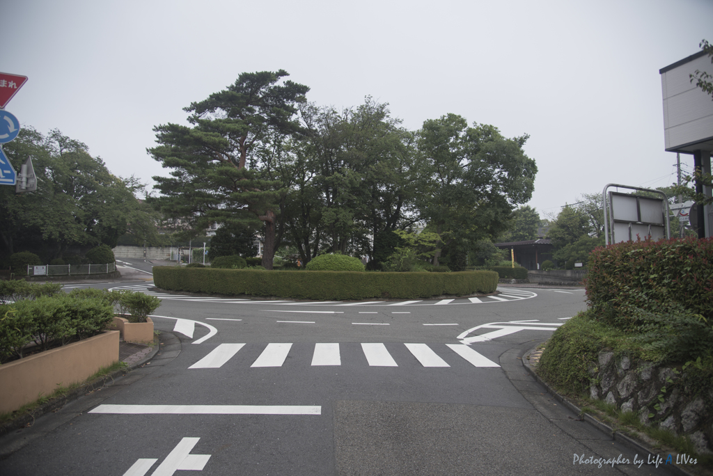 いろは坂を登ると