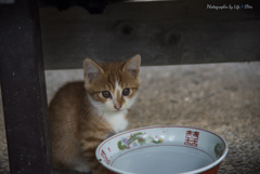 New Life
