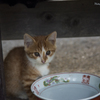 New Life