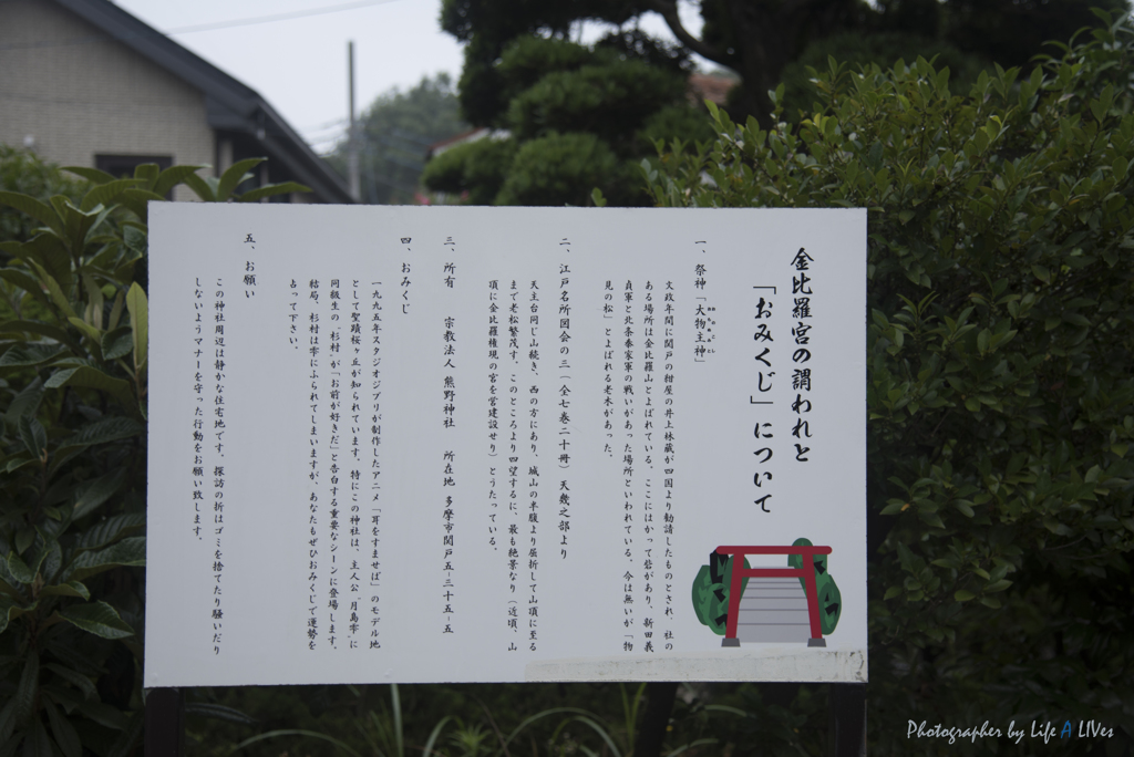 いろは坂を登ると